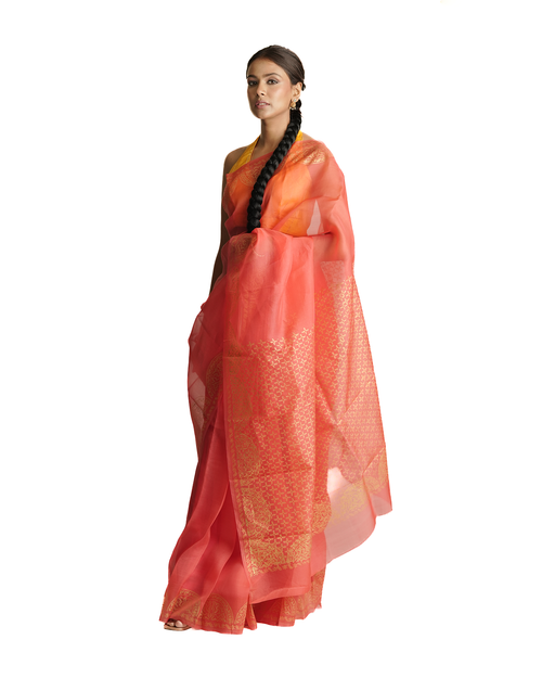 Woman wearing a traditional saree with a white background